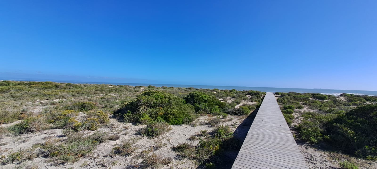 0 Bedroom Property for Sale in Dwarskersbos Western Cape